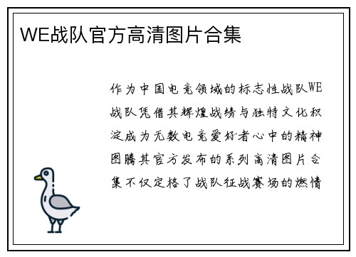 WE战队官方高清图片合集