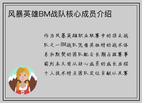 风暴英雄BM战队核心成员介绍