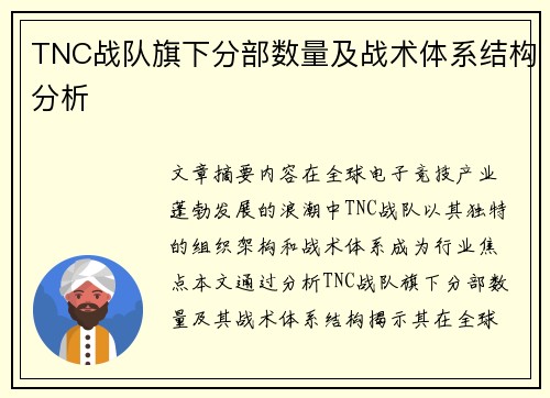 TNC战队旗下分部数量及战术体系结构分析